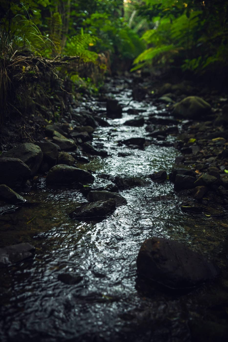 Fresh water stream flowing into harbour